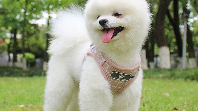 冷却塔噪音治理：揭秘十大品牌背后的技术秘密**