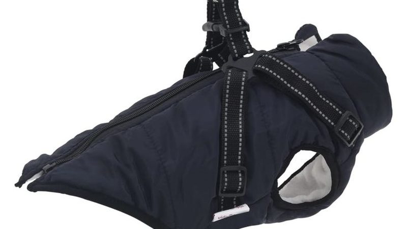 风冷式冷水机维护保养：保障高效运行的秘诀